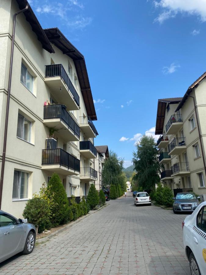 Wanderlust Home Cream, Rasnov Apt For 4, Wifi And Free Parking Zewnętrze zdjęcie