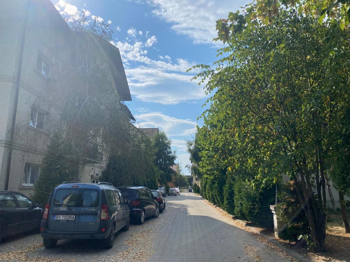 Wanderlust Home Cream, Rasnov Apt For 4, Wifi And Free Parking Zewnętrze zdjęcie